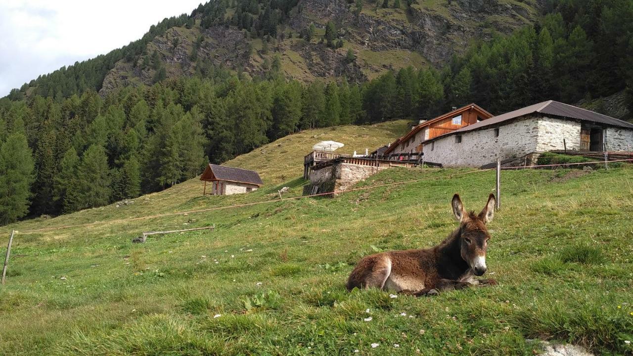 페이오 Nestalp Malga Campo 빌라 외부 사진